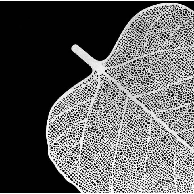 Tea Strainer Cha Lou "Bodhi Leaf" for Tea Ceremony silver color