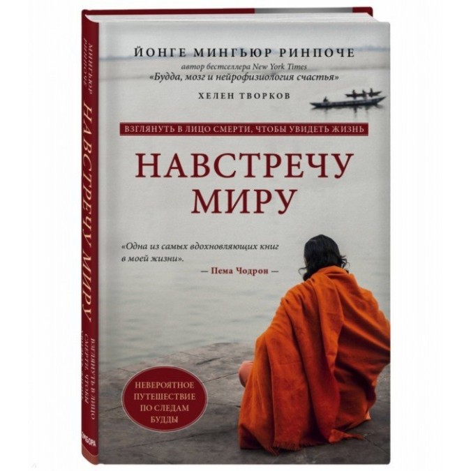 Книга - Назустріч світу - Рінпоче Йонге Міньюр