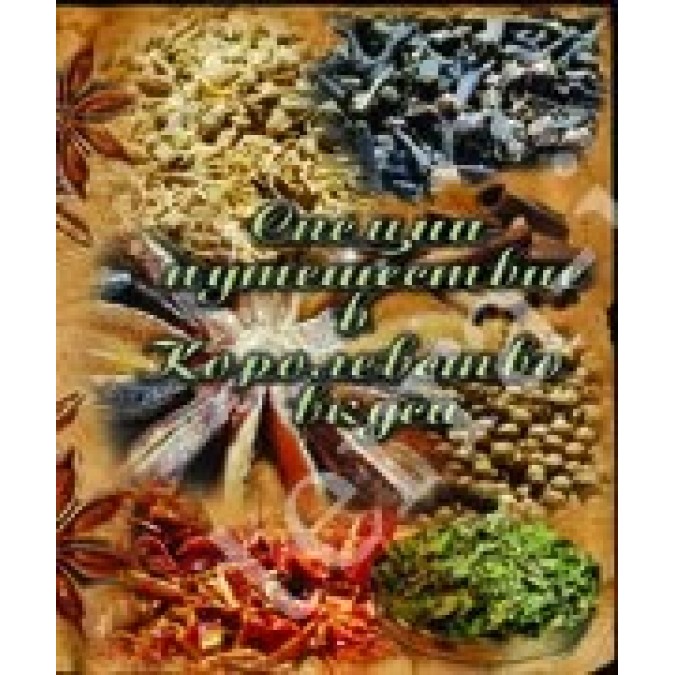 Книга - Специи. Путешествие в Королевство вкуса Навроцкая Т.В.