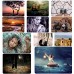 Книга - Метафорические карты &quot;Право на кризис&quot;