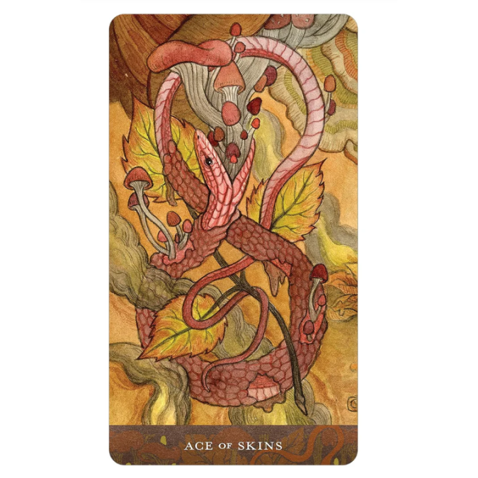 Карты Таро Кровавая Луна - Blood Moon Tarot Cards Deck US Games Systems