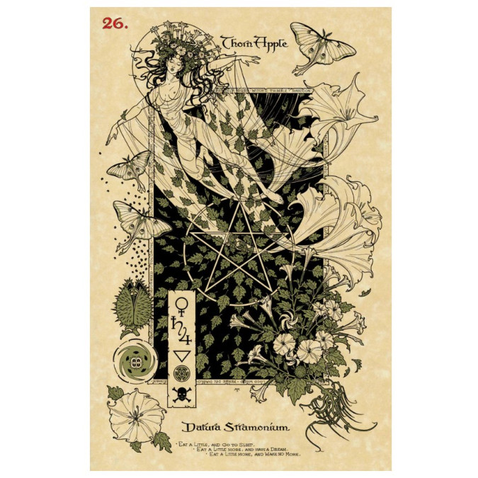 Чарівний ботанічний оракул The Magickal Botanical Oracle