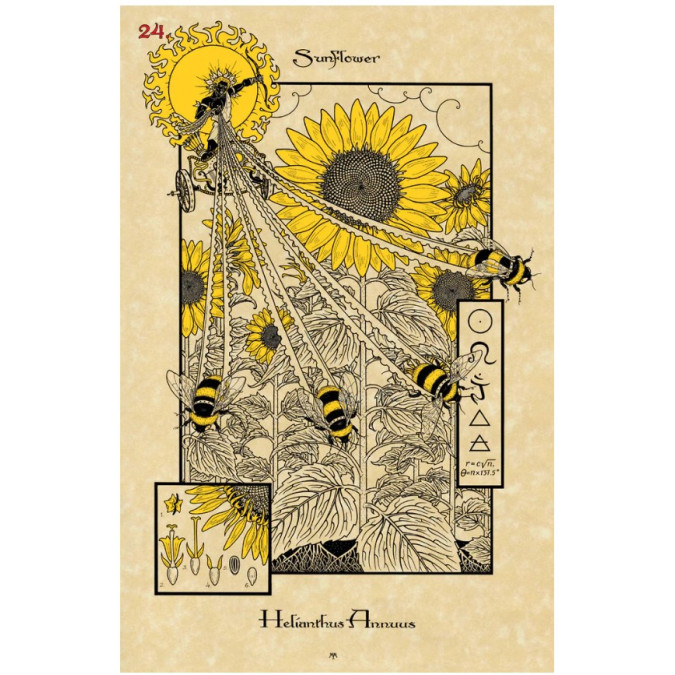 Очаровательный ботанический оракул The Magickal Botanical Oracle