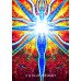 Аватар Оракул - Avatar Oracle