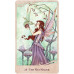 For the Love of Dragons: Oracle Deck & Book Set - В імя любові до драконів Оракул