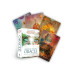 Mystical Shaman Oracle Cards: A 64-Card Deck and Guidebook - Оракул містичного шамана: колода з 64 карт і довідник