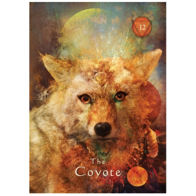 Mystical Shaman Oracle Cards: A 64-Card Deck and Guidebook - Оракул містичного шамана: колода з 64 карт і довідник