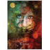 Mystical Shaman Oracle Cards: A 64-Card Deck and Guidebook - Оракул містичного шамана: колода з 64 карт і довідник
