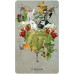 Unlocking The Secret Garden Oracle Cards - Оракул Открывая Тайный Сад