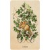 Unlocking The Secret Garden Oracle Cards - Оракул Открывая Тайный Сад