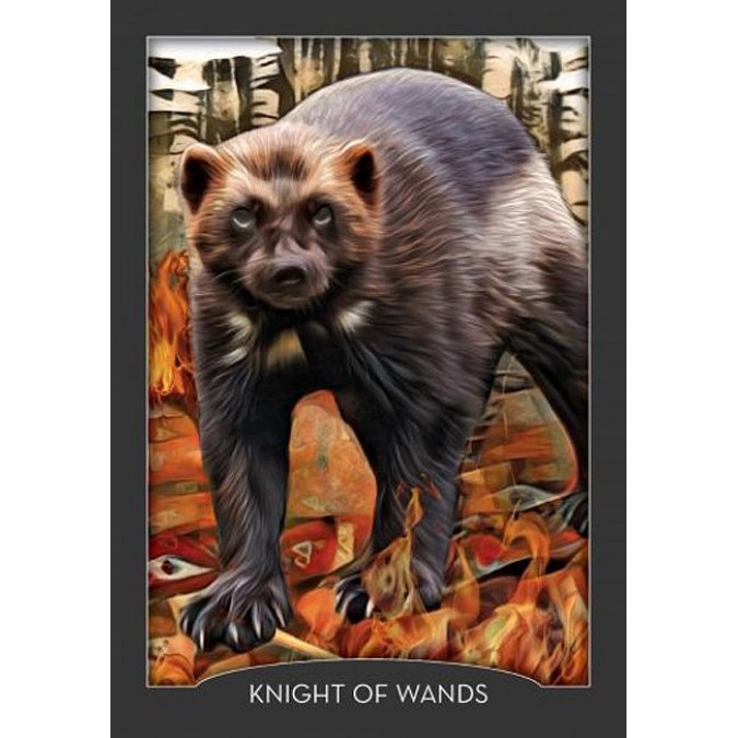 Карты Таро Хранителя Ночи - Guardian Of The Night Tarot. Hay House