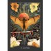 Карты Таро Хранителя Ночи - Guardian Of The Night Tarot. Hay House