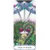 Карты Таро безрамочное Лунного Сада - Tarot Of A Moon Garden Borderless Deck