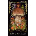 Таро Грибов: Північна Магія - Midnight Magic: A Tarot Deck of Mushrooms. Adams Media