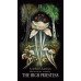 Таро Грибов: Полуночная Магия - Midnight Magic: A Tarot Deck of Mushrooms. Adams Media