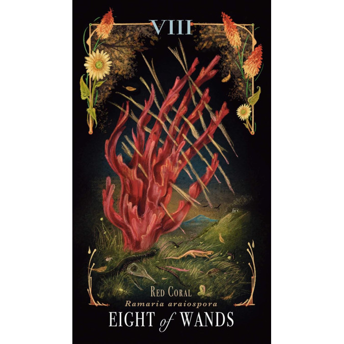 Таро Грибов: Полуночная Магия - Midnight Magic: A Tarot Deck of Mushrooms. Adams Media
