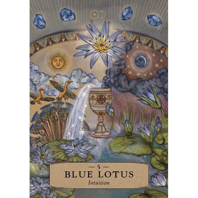 Карты  Оракул Травяной Астрологии - The Herbal Astrology  Oracle