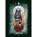 Карты Оракул Рунический Знакомая Ведьма - The Witch's Familiar Runic Oracle