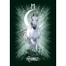 Карты Оракул Рунический Знакомая Ведьма - The Witch's Familiar Runic Oracle