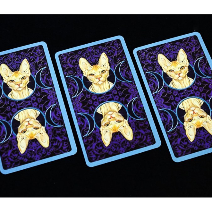 Карти Таро Язичницьких кішок (Tarot of Pagan Cats)