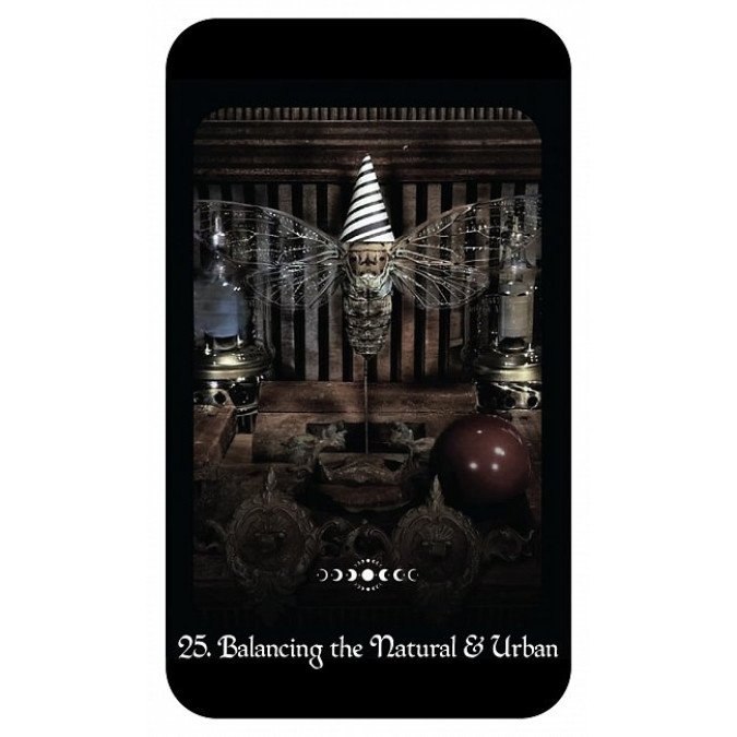 Карты Оракул Ведьмы Готический - Gothic Witchs Oracle. Crossed Crow Books