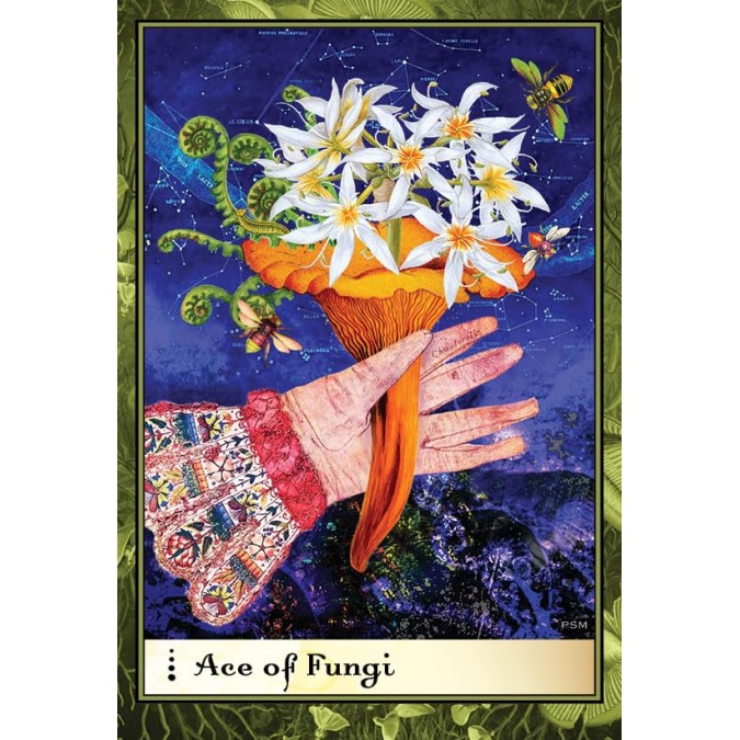 Карты Таро Земных Наслаждений Боадицеи - Boadicea's Tarot of Earthly Delights. REDfeather