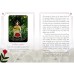 Карты Оракул Время года ведьмы Литы - Seasons of the Witch. Litha Oracle. Rockpool Publishing