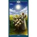 Таро Книга Теней том 1 Как вверху / Book of Shadows Tarot volume 1