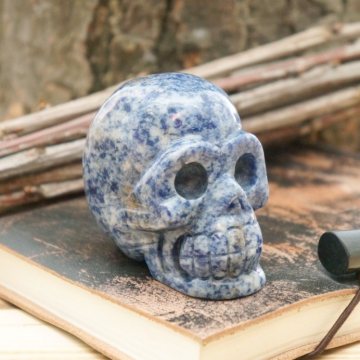 Череп кам'яний із Содаліта